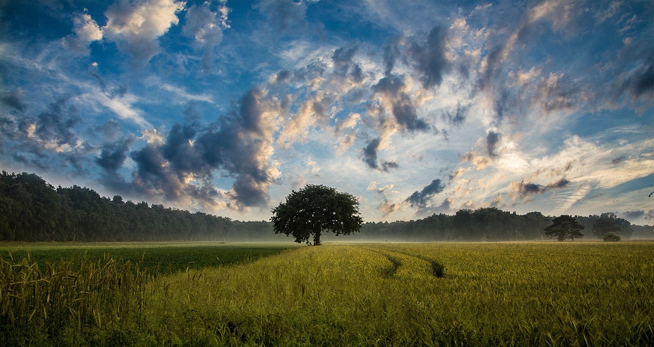 How to Paint a Stunning Clear Sky